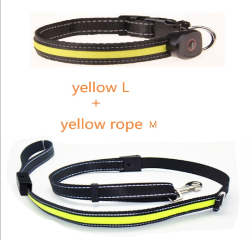 KFX-8740541 Luminous Dog Collar with Adjustable Length - Sizes S, M, L Available
