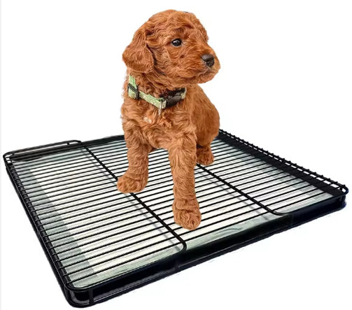 KFX-8745917 Dog Toilet Tray for Small to Medium Dogs - Durable ABS Plastic Design, Various Sizes Available