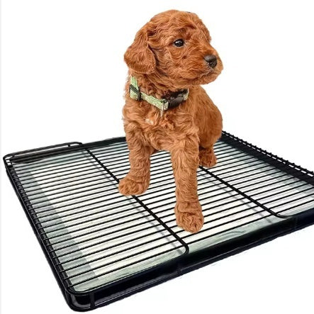 KFX-8745917 Dog Toilet Tray for Small to Medium Dogs - Durable ABS Plastic Design, Various Sizes Available