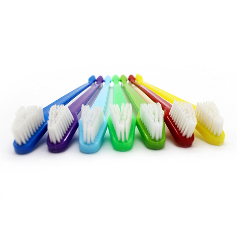 KFX-8751933 Nylon Bristle Dog Toothbrush with Plastic Handle and Paw Print Design