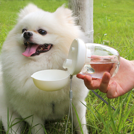 KFX-8755901 Foldable and Portable Outdoor Drinking Cup for Pets - 300ml Plastic in Pink, White, and Light Green