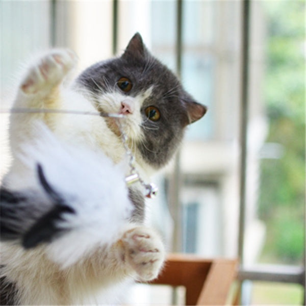 KFX-8760637 Super Flexible Cat Toy Stick with Telescopic Rod and Replaceable Heads