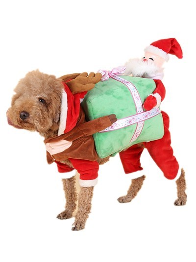 KFX-8763965 Santa Claus-Themed Pet Suit - Available in S, M, L, XL Sizes