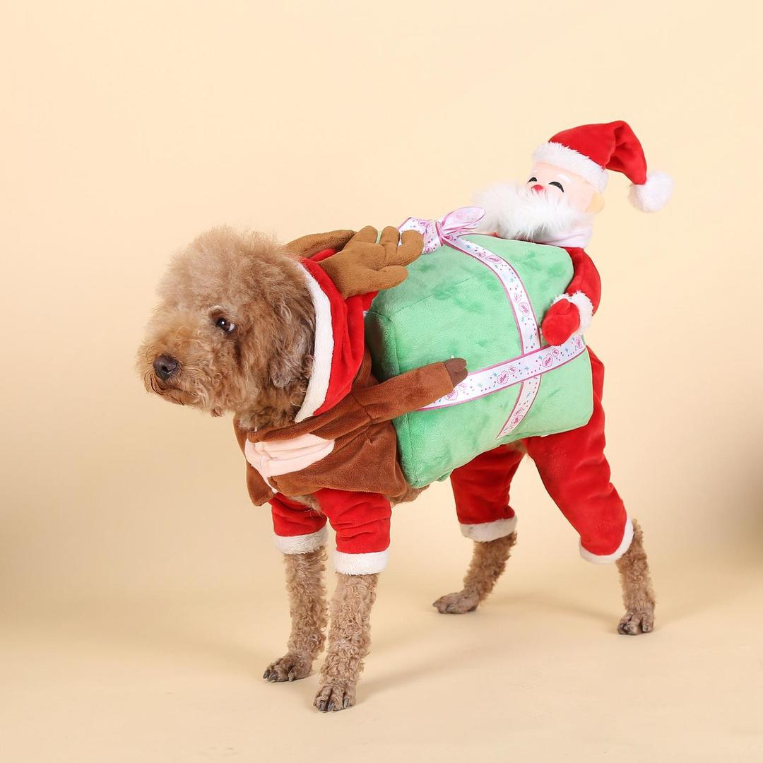 KFX-8763965 Santa Claus-Themed Pet Suit - Available in S, M, L, XL Sizes