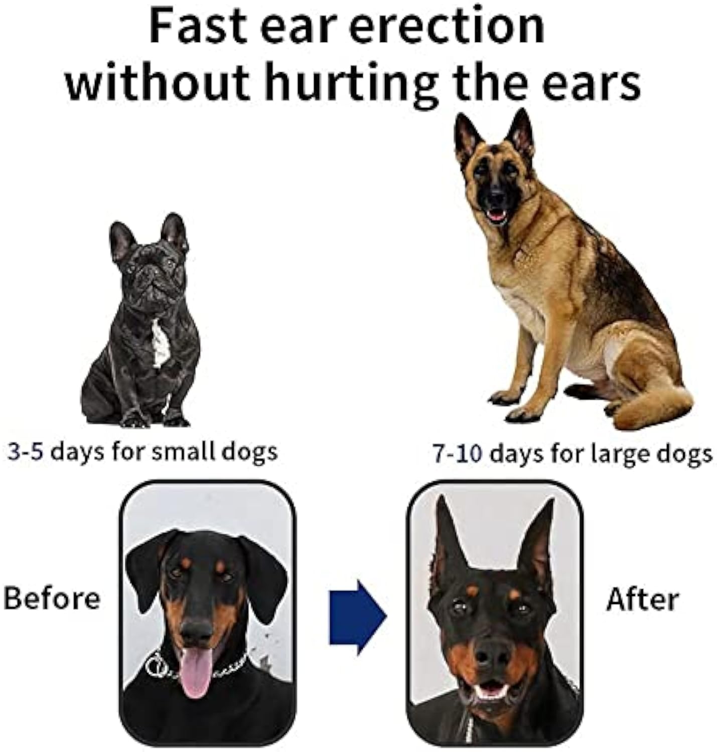 KFX-8768829 Dog Ear Support Fixing Tool for Doberman, Sheltie, Corgi Puppies - Comfortable Vertical Holder