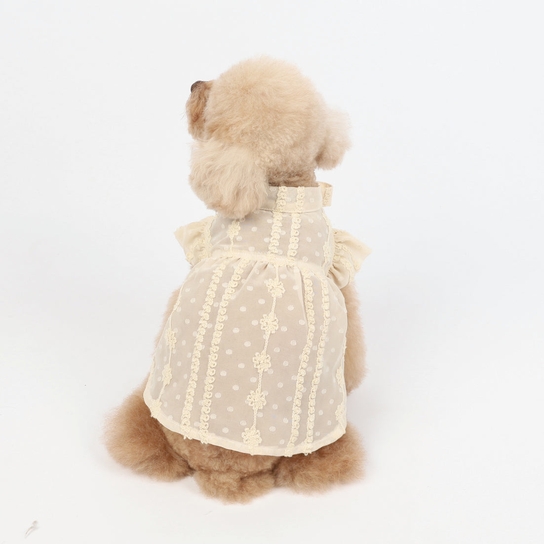 KFX-8769725 Chiffon Princess Dress for Dogs - Embroidered Summer Spring Skirt in Apricot, Sizes XXS to 3XL