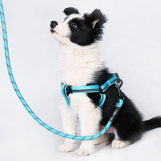 KFX-8771133 Reflective Nylon Dog Leash with Soft Rubber Fasteners for Small and Medium-Sized Dogs