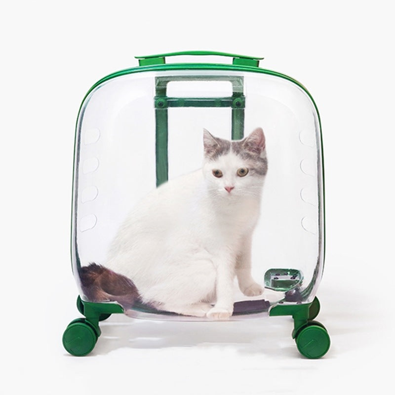 KFX-8773565 Transparent Cat Trolley Bag with Fresh Air System and Protective Covers for Travel