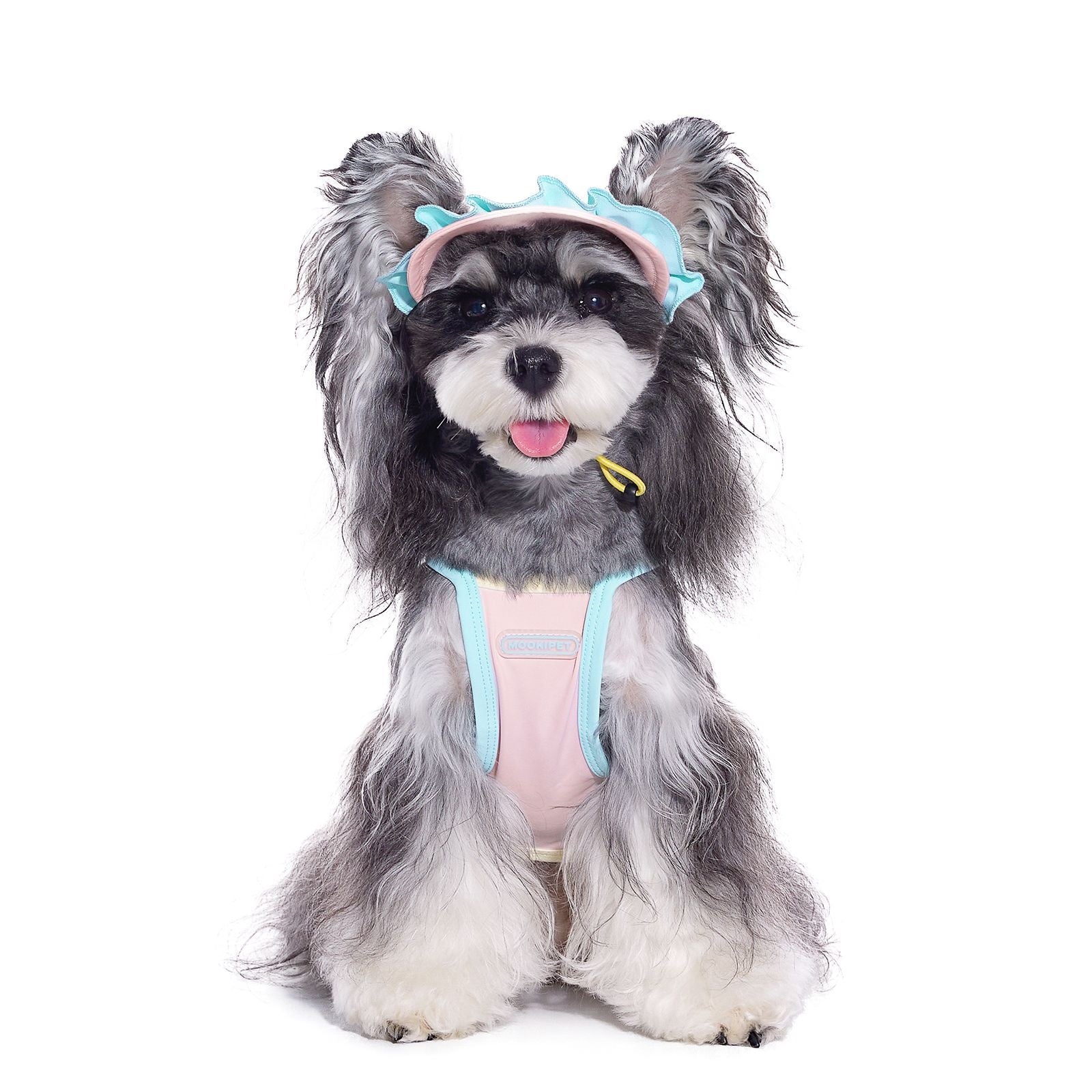 KFX-8775869 Pink Dog Hat for Small Breeds with Exposed Ears, Casual Summer Style