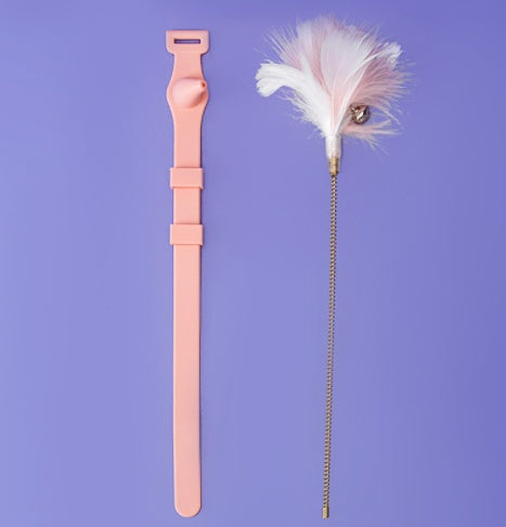 KFX-8779069 Cat Stick with Bell and Feather, Bite Resistant Kitten Toy for All Ages