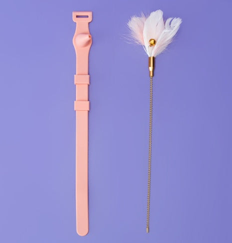 KFX-8779069 Cat Stick with Bell and Feather, Bite Resistant Kitten Toy for All Ages