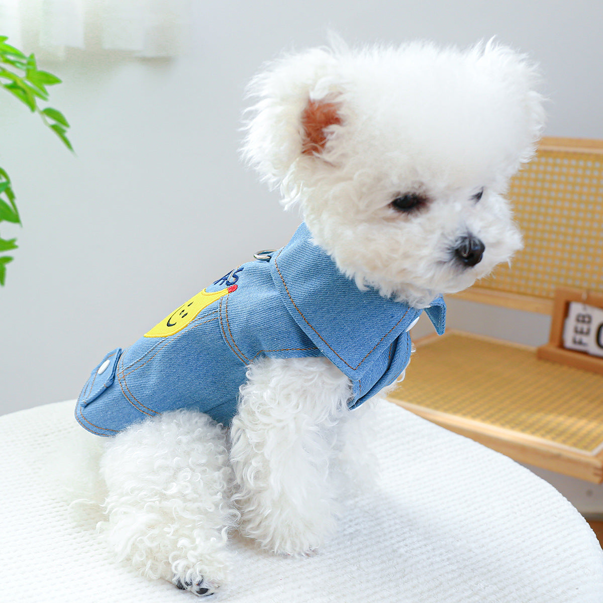 KFX-8779453 Banana Denim Pet Clothing for Small and Medium Dogs, XS to XL Sizes