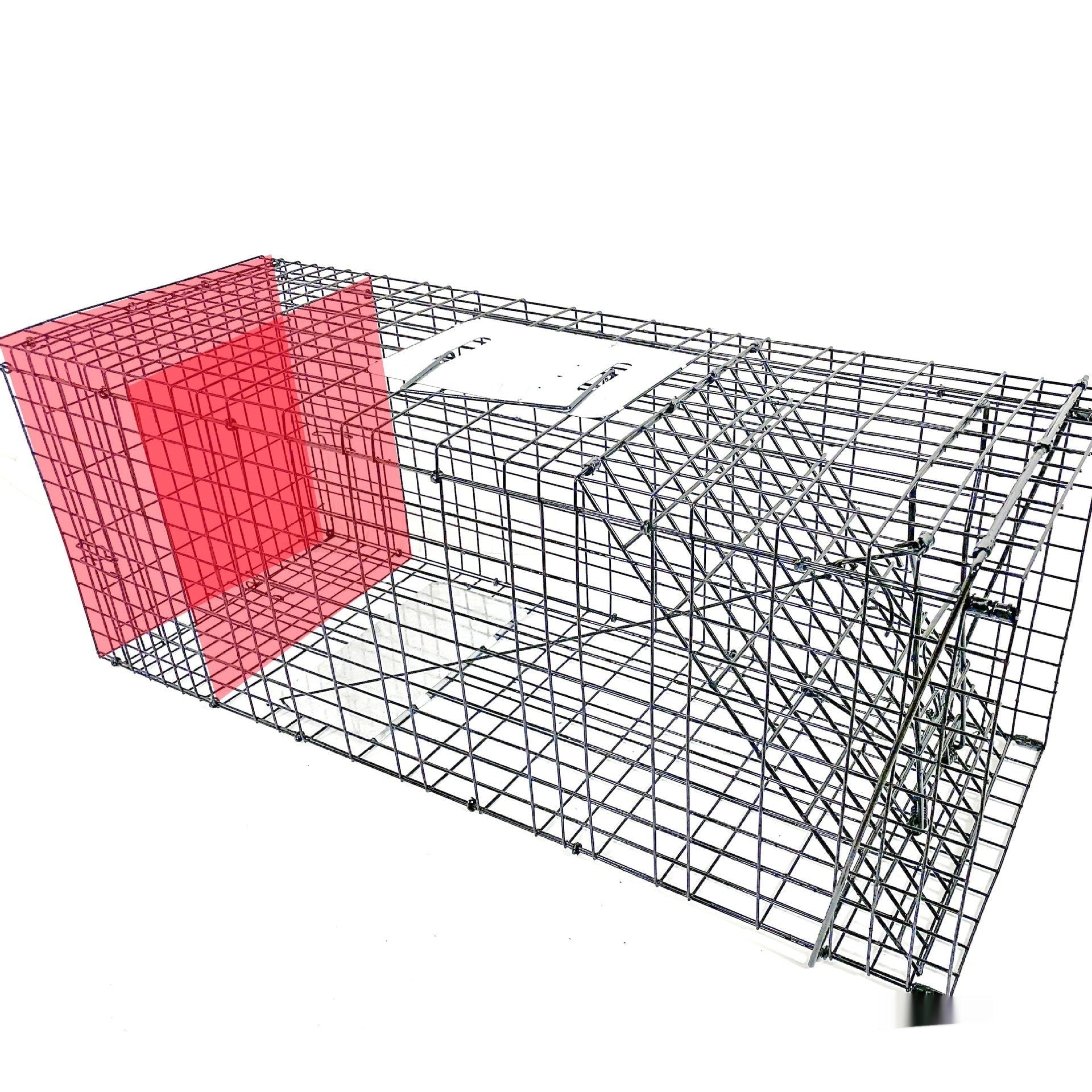 KFX-8780349 Foldable Fully Automatic Cat Trap Cage with Galvanized Steel, Multiple Sizes Available