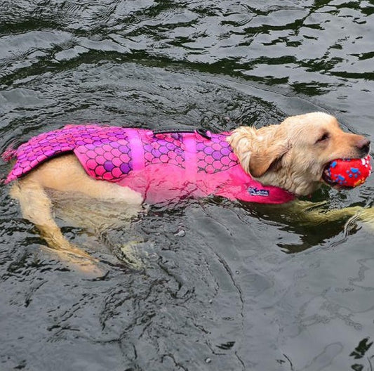KFX-8781245 Pet Life Jacket for Dogs - Comfortable and Durable Swimwear in Pink, Gray, or Red, Made with 600D Polyester Oxford Cloth