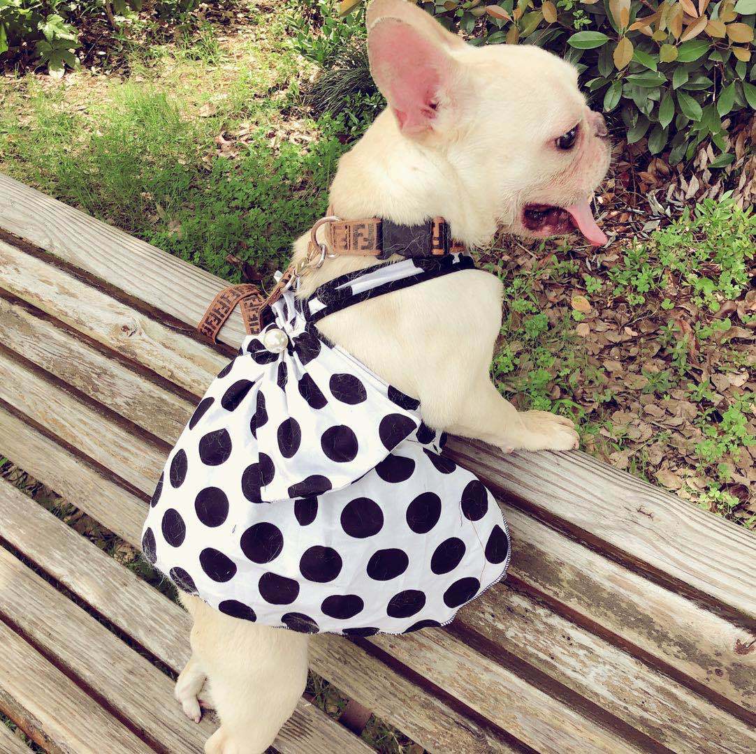 KFX-8784445 Cute Black Tutu Skirt for Senior Dogs - Polyester, Leisure Style, Available in Sizes S to XL