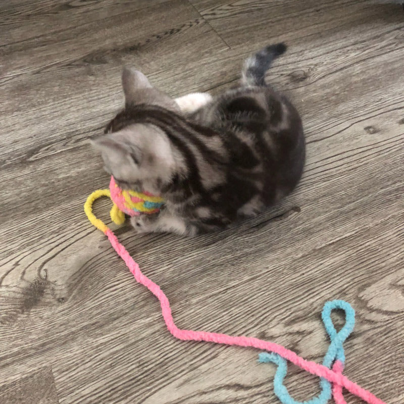 KFX-8787645 Colorful Yarn Ball Cat Toy with Sound and Fun Accessories