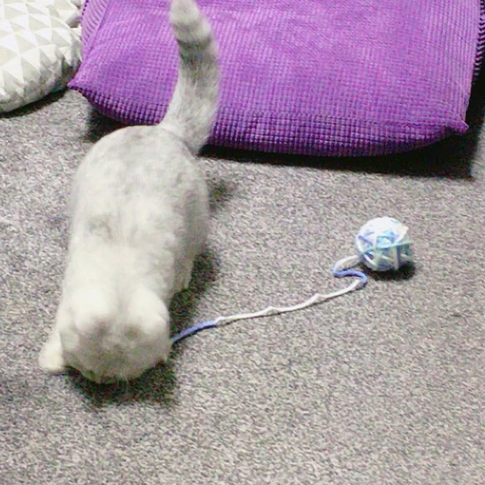KFX-8787645 Colorful Yarn Ball Cat Toy with Sound and Fun Accessories