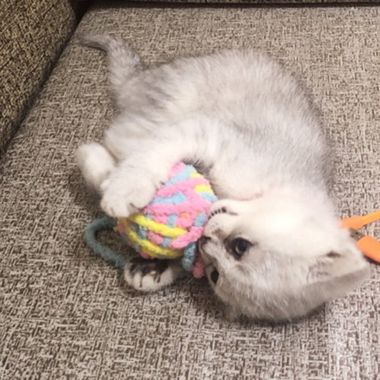 KFX-8787645 Colorful Yarn Ball Cat Toy with Sound and Fun Accessories