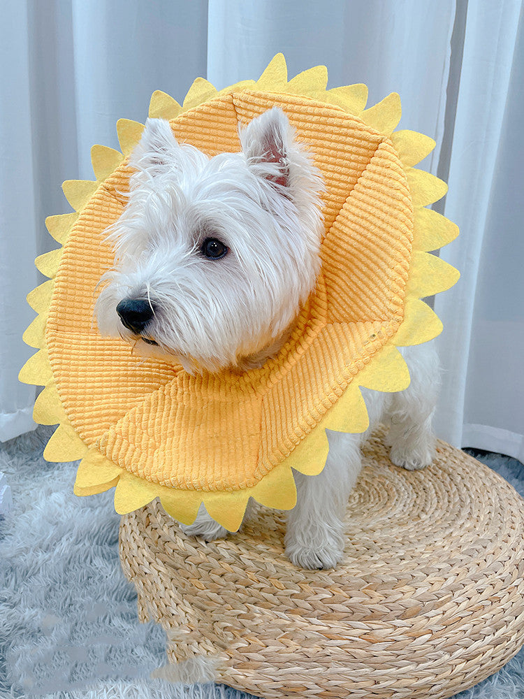 KFX-8790205 Soft Anti-Licking Headgear for Small to Medium Dogs - Sunflower Design