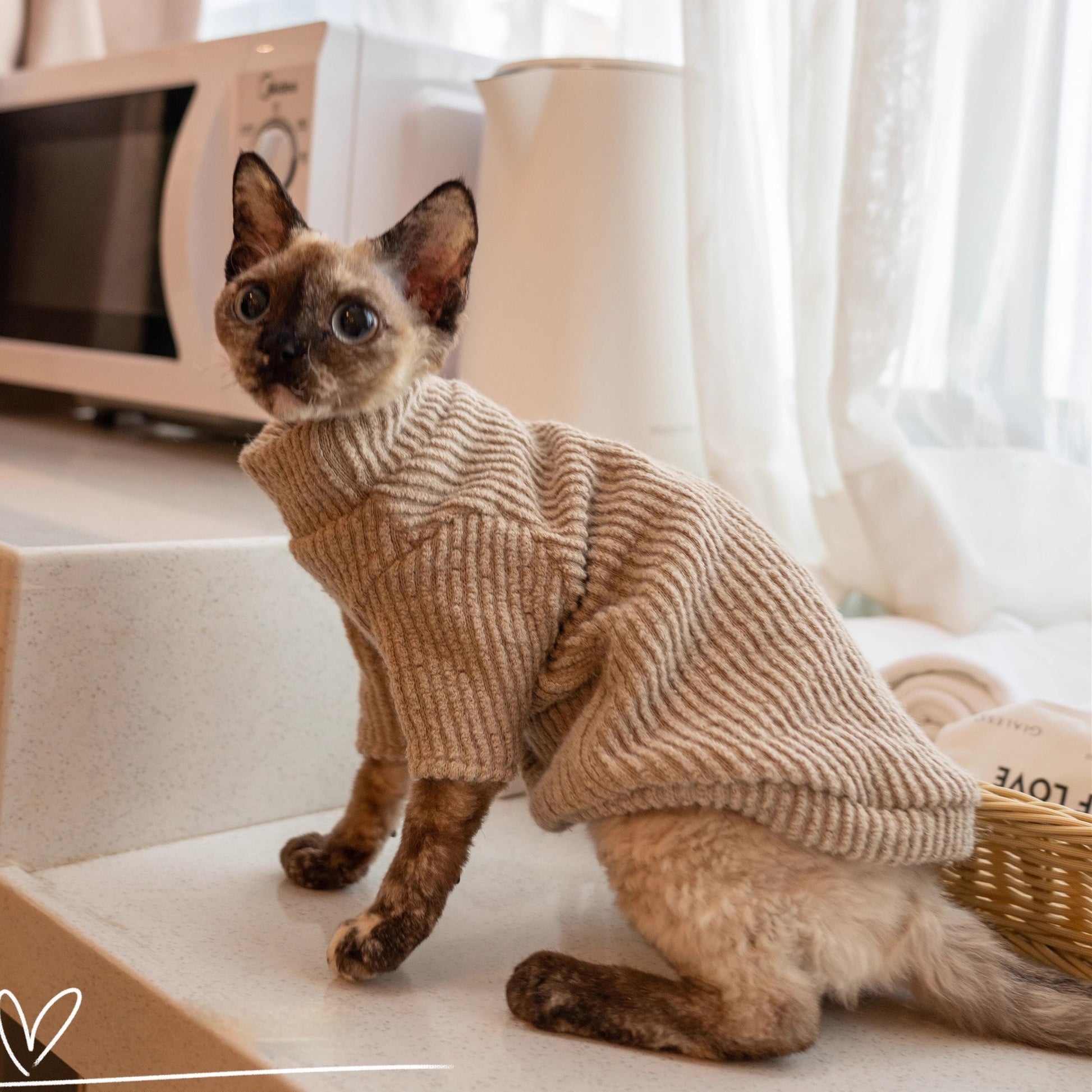 KFX-8796349 Lambswool Buckle Vest for Cats - Cozy Individual Vest or Set Options