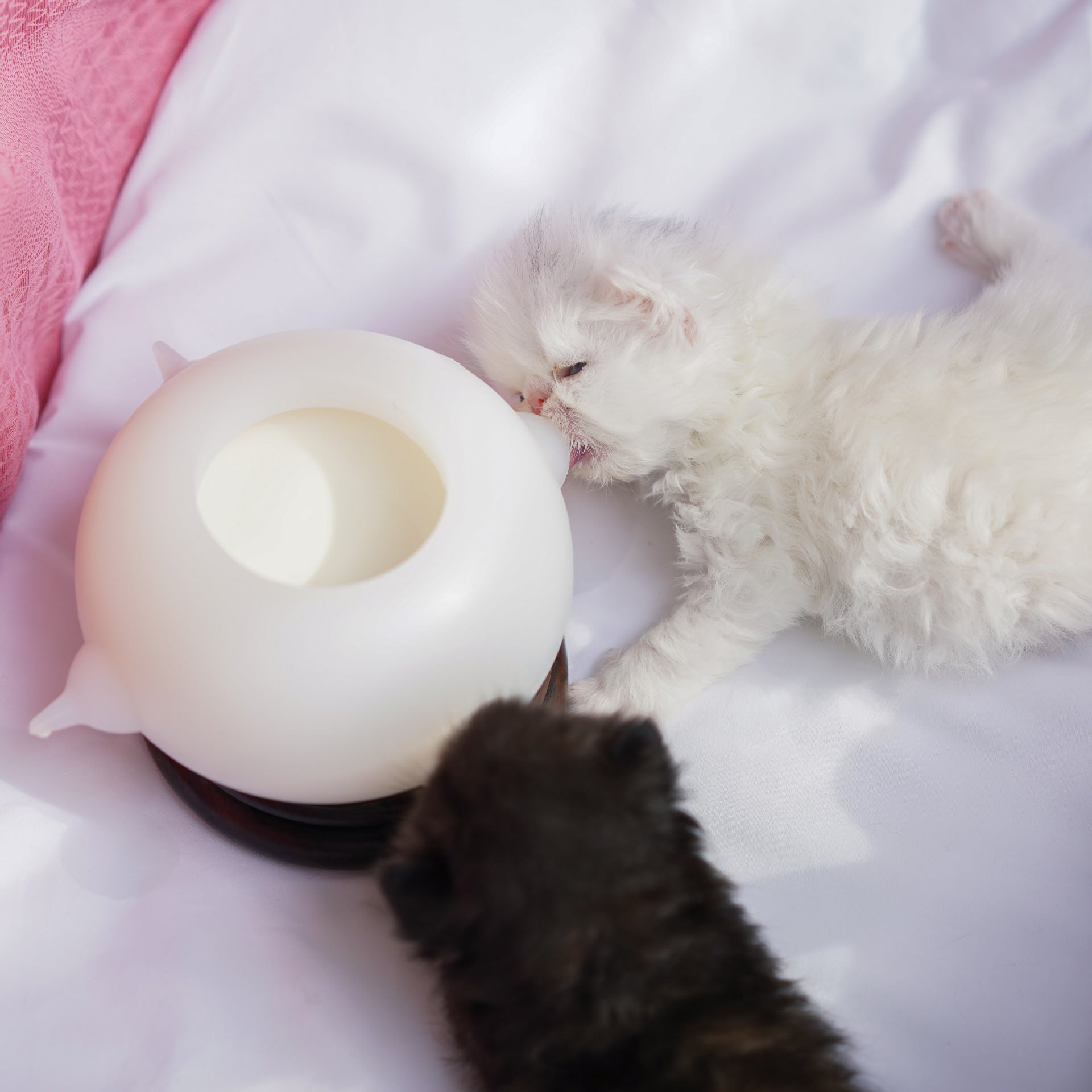 KFX-8804285 Bionic Silicone Automatic Bubble Milk Bowl for Dogs - 150ML and 350ML Options