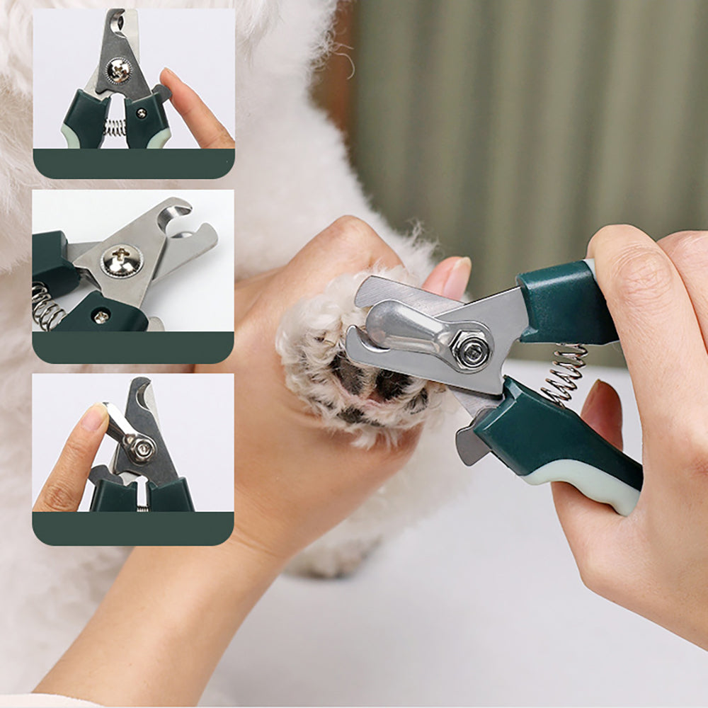 KFX-8807357 Cordless Dog Grooming Clippers with Grooming Kit for Thick Coats, Low Noise Hair Trimmer and Nail Clipper