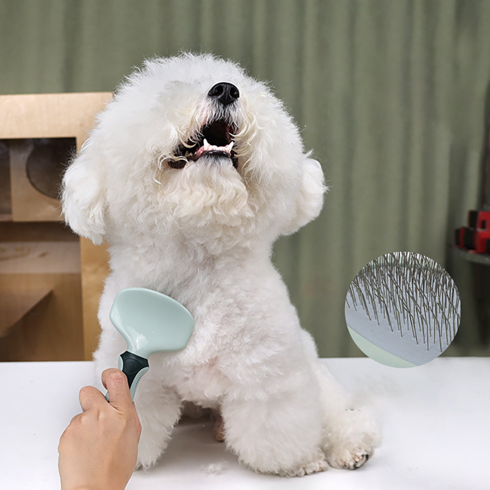 KFX-8807357 Cordless Dog Grooming Clippers with Grooming Kit for Thick Coats, Low Noise Hair Trimmer and Nail Clipper