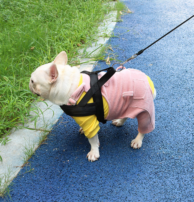 KFX-8816189 Cozy Fleece Bib Pants for Dogs in Misty Lotus Pink, Mocha Green, and Hibiscus Yellow