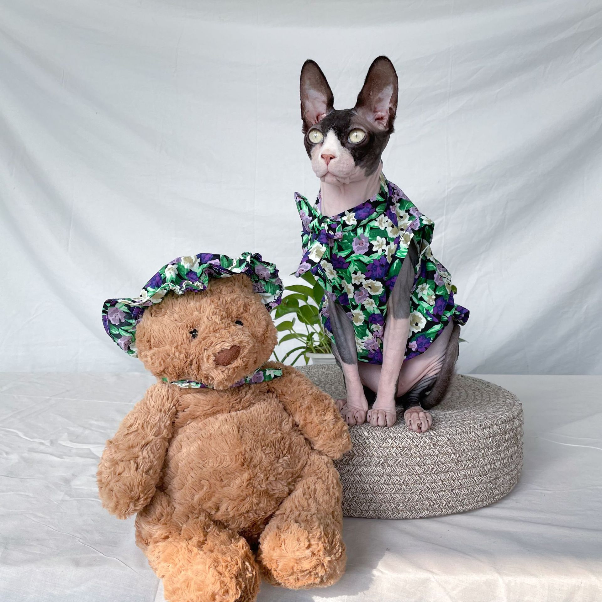KFX-8817213 Summer Floral Cotton Dress for Sphinx Cats - Lightweight & Stylish