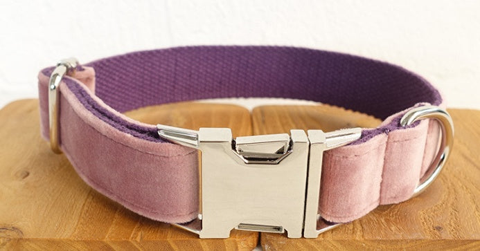 KFX-8817597 Adjustable Dog Leash & Collar Set for Small to Medium Breeds