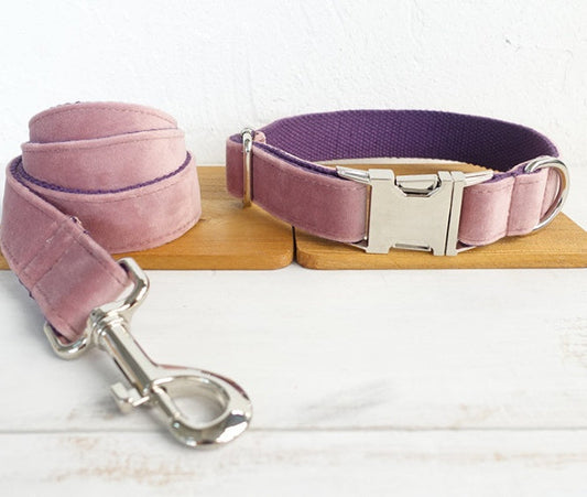 KFX-8817597 Adjustable Dog Leash & Collar Set for Small to Medium Breeds