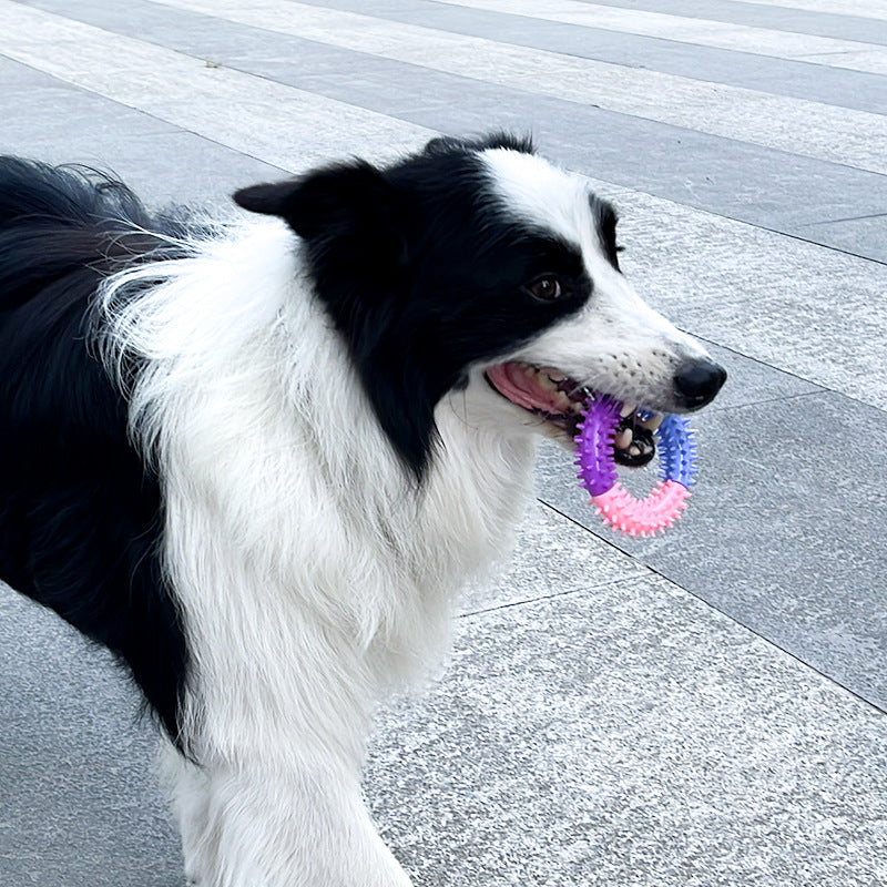 KFX-8826173 Three-Color TPR Dog Molar Chew Toy Ring for Pets