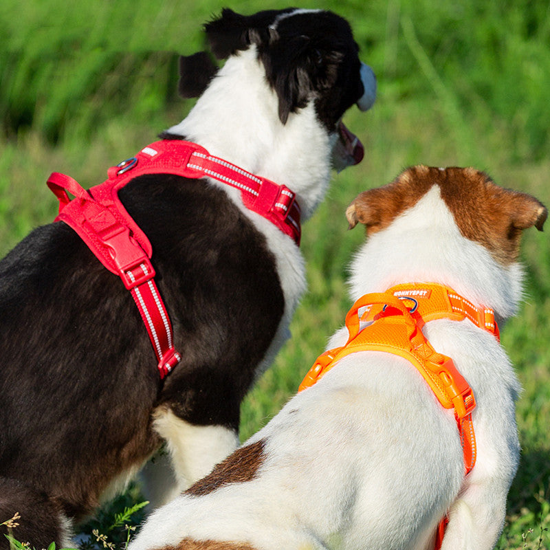 KFX-8830397 Adjustable Wool Vest for Dogs with Chest Strap - Available in Orange, Red, and Black, Size XS to XL