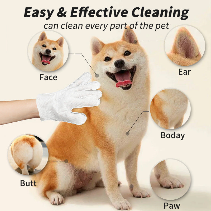 KFX-8832701 Pet Cleaning Essentials Set: Disposable Gloves, Wipes, and Foot Foam