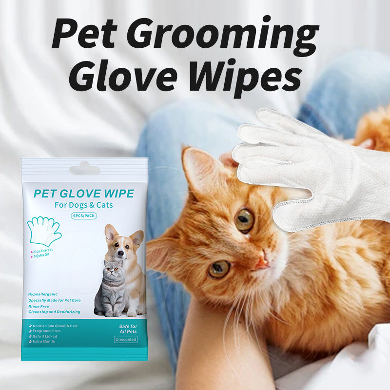KFX-8832701 Pet Cleaning Essentials Set: Disposable Gloves, Wipes, and Foot Foam