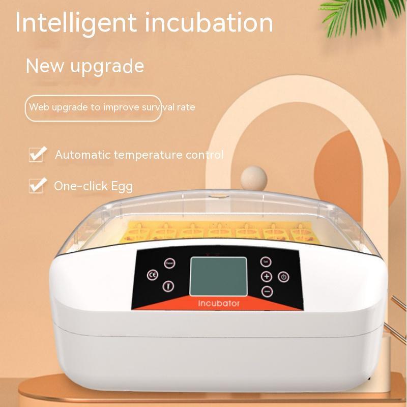 KFX-8846397 Smart Egg Incubator for Household Chicken Breeding - Adjustable Temperature Control, 80W Power, 110V/220V
