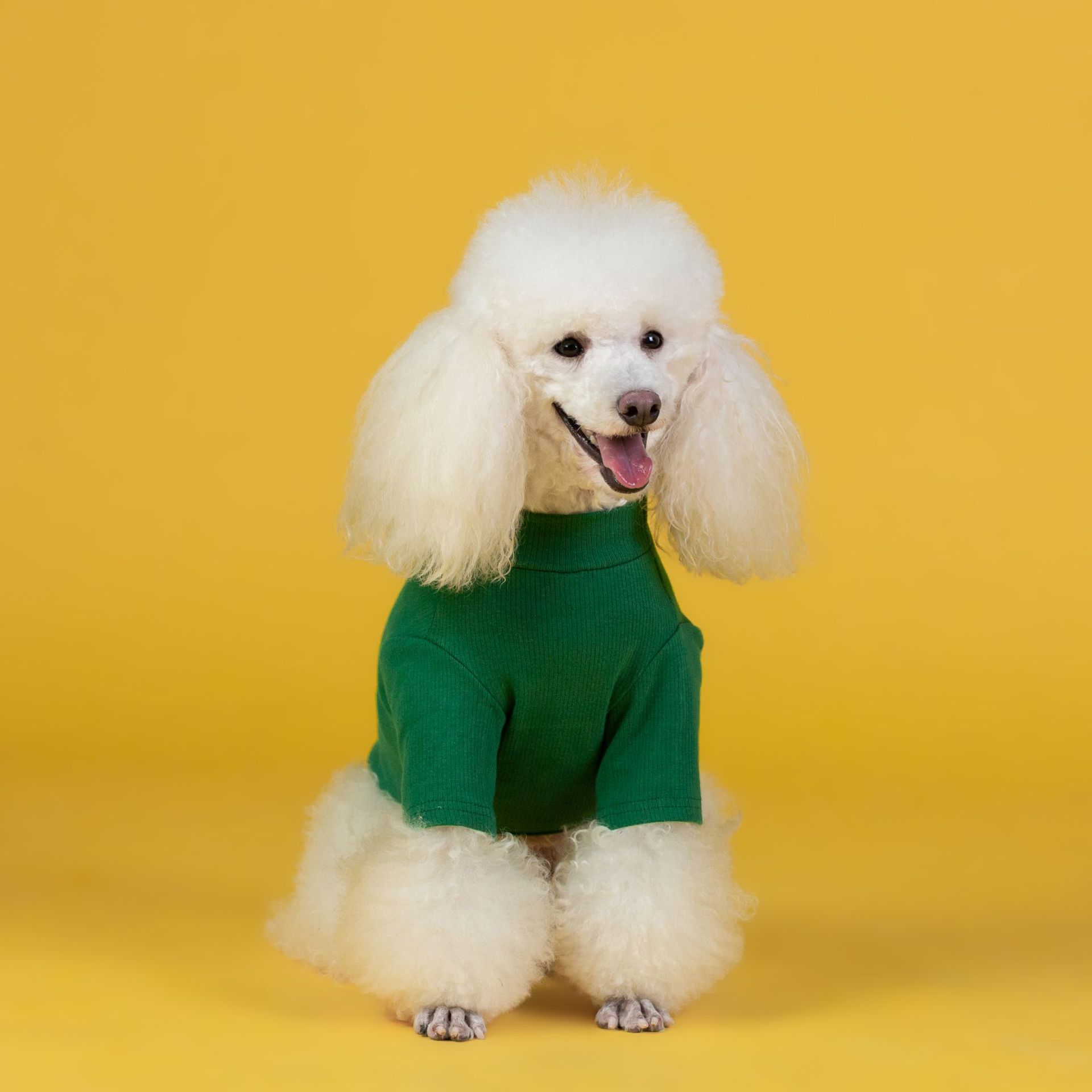 KFX-8847677 Cozy Cotton Puppy Sweater for Autumn and Winter – Available in Red and Green, Sizes XS-3XL