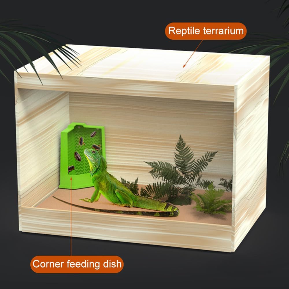 KFX-8848573 Corner Reptile Feeder Box with Suction Cups for Climbing Pets - Ideal for Bearded Dragons, Lizards, and Geckos