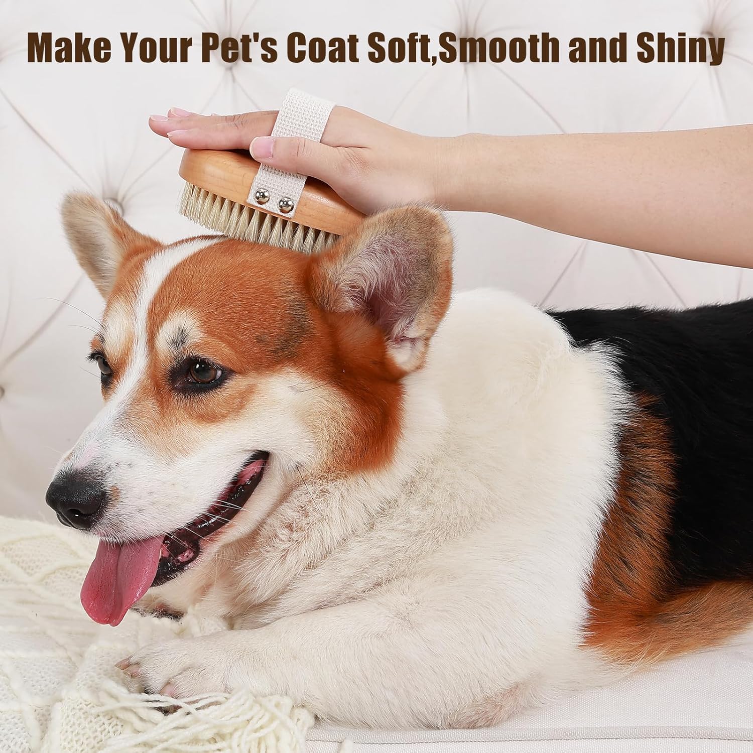KFX-8853949 Soft Boar Bristle Grooming Brush for Short-Haired Pets with Ergonomic Design and Reduced Shedding