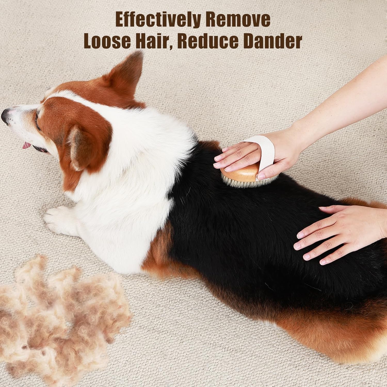 KFX-8853949 Soft Boar Bristle Grooming Brush for Short-Haired Pets with Ergonomic Design and Reduced Shedding