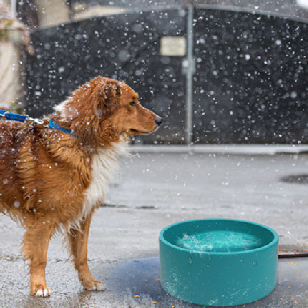 KFX-8854333 Pet Heating Bowl - Non-Slip Anti-Fall Design, 3L Capacity, Available in Multiple Colors