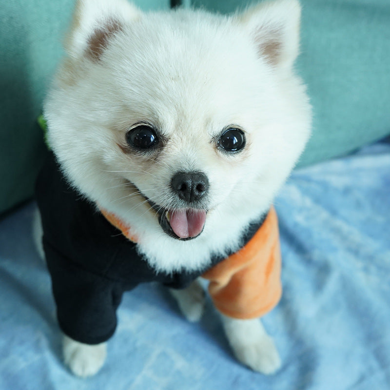 KFX-8856509 Casual Halloween Pet Jacket in Devil Pumpkin Design - Available in Multiple Sizes