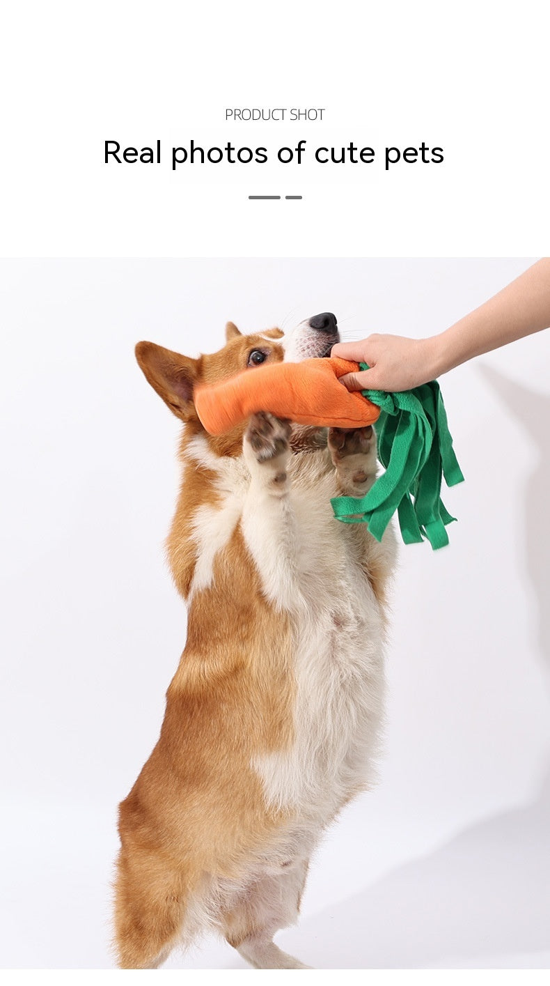 KFX-8858941 Durable Orange Polyester Dog Toy Vegetable Carrot - Fun Playtime Accessory