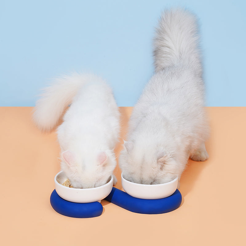 KFX-8864061 Ceramic and Silicone Pet Bowl for Cats - Fun and Colorful Food & Water Dish