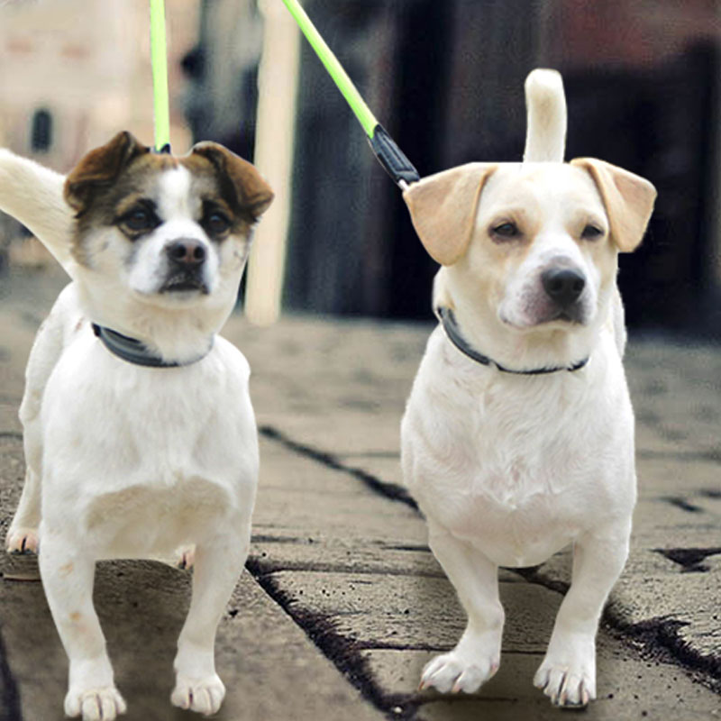 KFX-8875197 Reflective Double-Headed Nylon Dog Leash - Scalable, Durable & Comfortable for Small to Medium Dogs