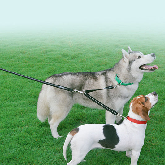 KFX-8875197 Reflective Double-Headed Nylon Dog Leash - Scalable, Durable & Comfortable for Small to Medium Dogs