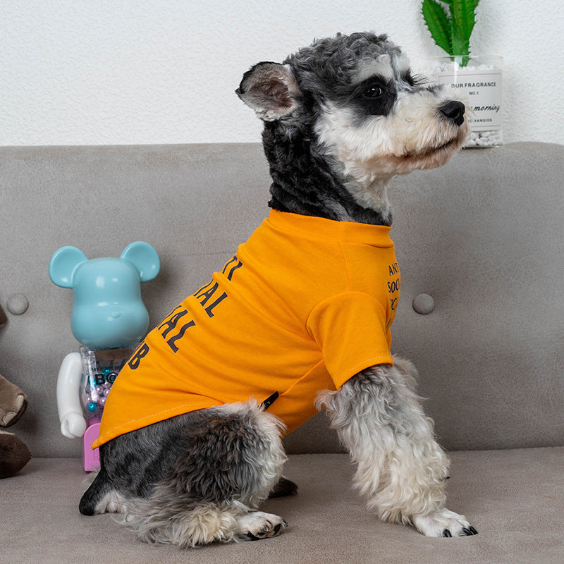 KFX-8879549 Trendy Casual Cotton Dog T-Shirts in Orange and Black – Sizes S to XXXL