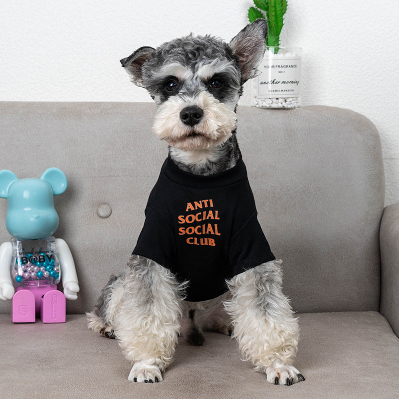 KFX-8879549 Trendy Casual Cotton Dog T-Shirts in Orange and Black – Sizes S to XXXL