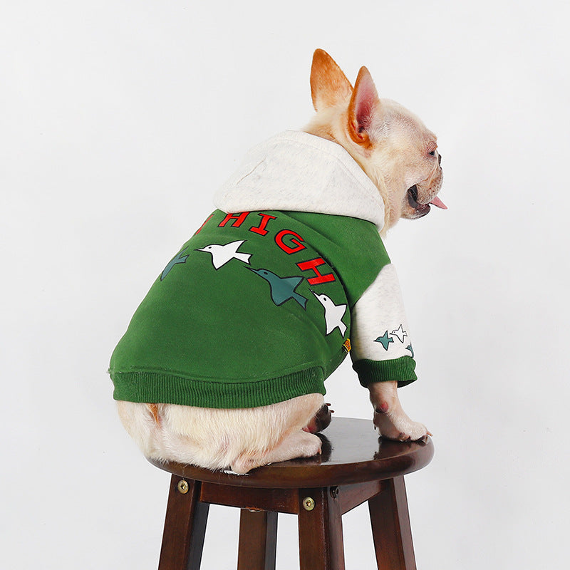 KFX-8880445 Warm Green Teddy Winter Hoodie for Pets, Sizes L to 4XL, Cotton Material