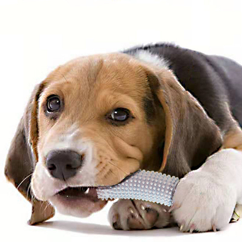 KFX-8891709 Interactive Bite-Resistant Dog Toy for Training and Boredom Relief